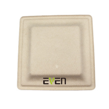 Food Grade Biodegradable Disposable Tableware Products Sugarcane Bagasse Square Plates